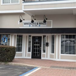 Whiskers & Wags Pet Spa - Suite 104