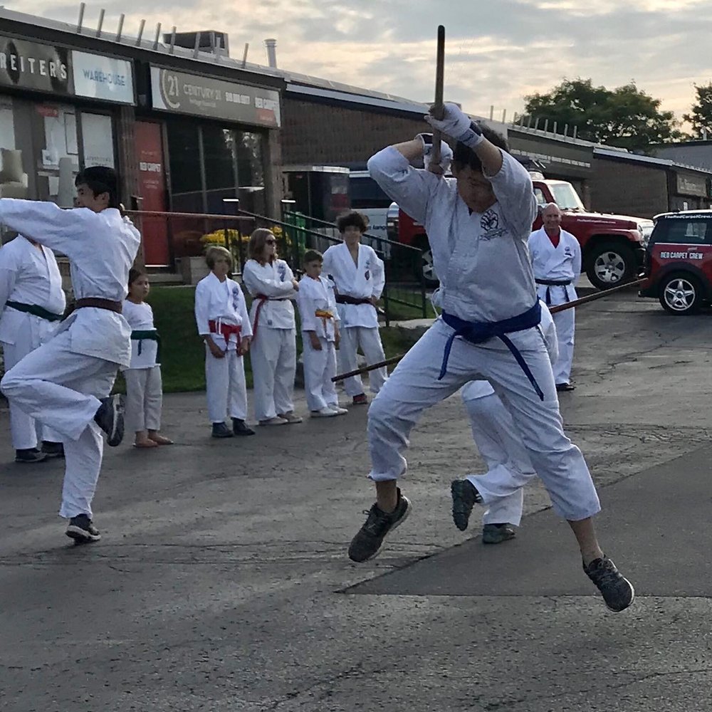 CLASSICAL MARTIAL ARTS CENTRE 300 Gage Avenue, Kitchener, Ontario