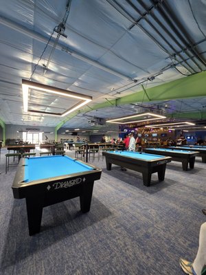 The Pool Turtle by null