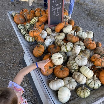 Gentry's Farm - Farms Near Me - Franklin, Tennessee