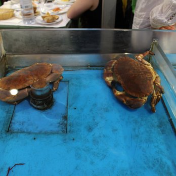 Restaurante Farol - Seafood Near Me - Almada, 15