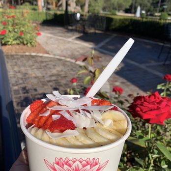 Elite Experience: Sunlife Organics - Perfectly delicious Acai Bowl!!! - Yelp Events Near Me - Thousand Oaks, California