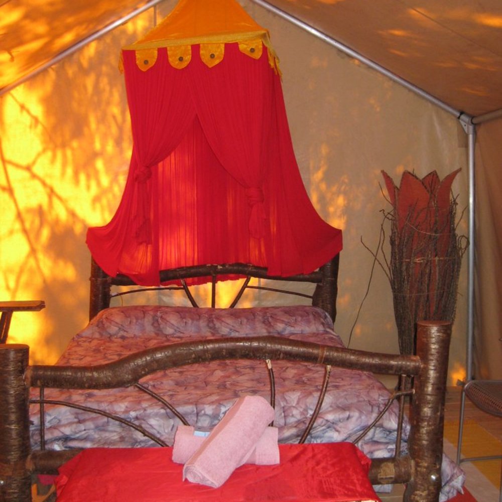 Ruby Lake Resort - A peek inside our Safari Tent - Resorts Near Me - Madeira Park, British Columbia