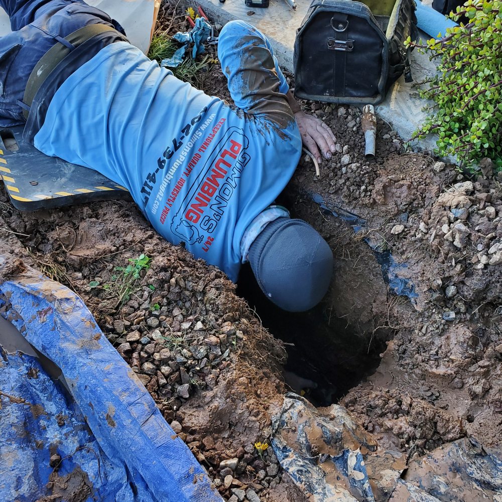 Slide of Simon's Plumbing