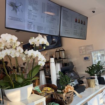 FORESTea - Desserts Near Me - Covington, Washington FORESTea - Desserts Near Me - Covington, Washington