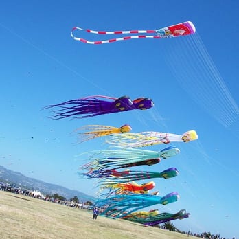 Berkeley Kite Festival - The giant tako kites are coming!!!! RUN!!! - Festivals Near Me - Berkeley, California