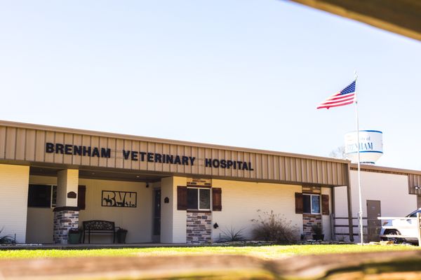 Brenham Veterinary Hospital 2455 Highway 290 W Brenham Tx Veterinarians Mapquest