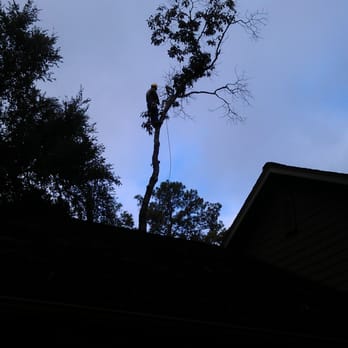 Tejas Tree Team - Cardenas Tree Service
www.cardenastreeservice.com - Tree Services Near Me - Magnolia, Texas Tejas Tree Team - Cardenas Tree Service
www.cardenastreeservice.com - Tree Services Near Me - Magnolia, Texas