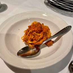 Bolognese