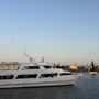Photo of The North Jetty of Marina Channel