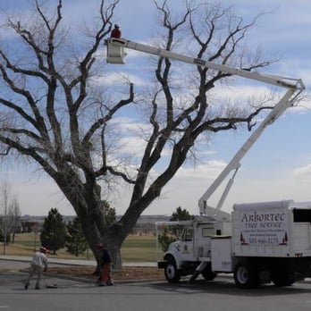 Arbortec Tree Service - Bucket  Truck Pruning - Tree Services Near Me - Broomfield, Colorado