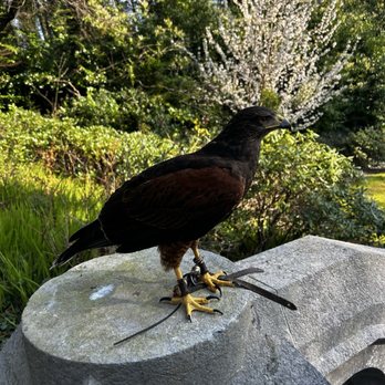 Ashford Castle - Resting - Hotels Near Me - Cong, Missouri