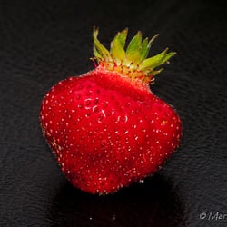 Berry Posing