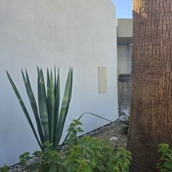 Alacran Plastering - RE-STUCCO SMOOTH FINISH