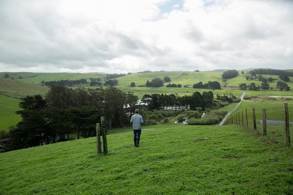Frankenmuth Woolen Mill by null