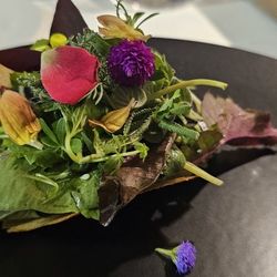 DUO - Complete edible salad.