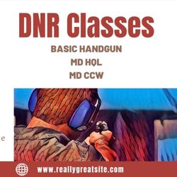 DNR Security & Private Investigation