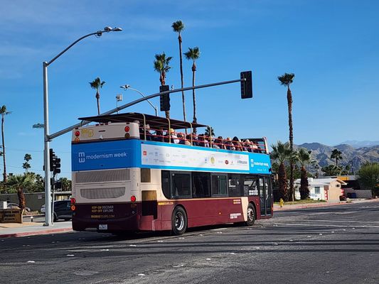 Palm Springs Mod Squad (Architecture Tours) by null