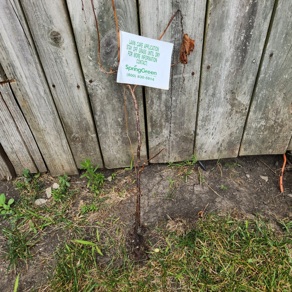 SPRING GREEN Updated September 2024 27 Photos & 37 Reviews 1205