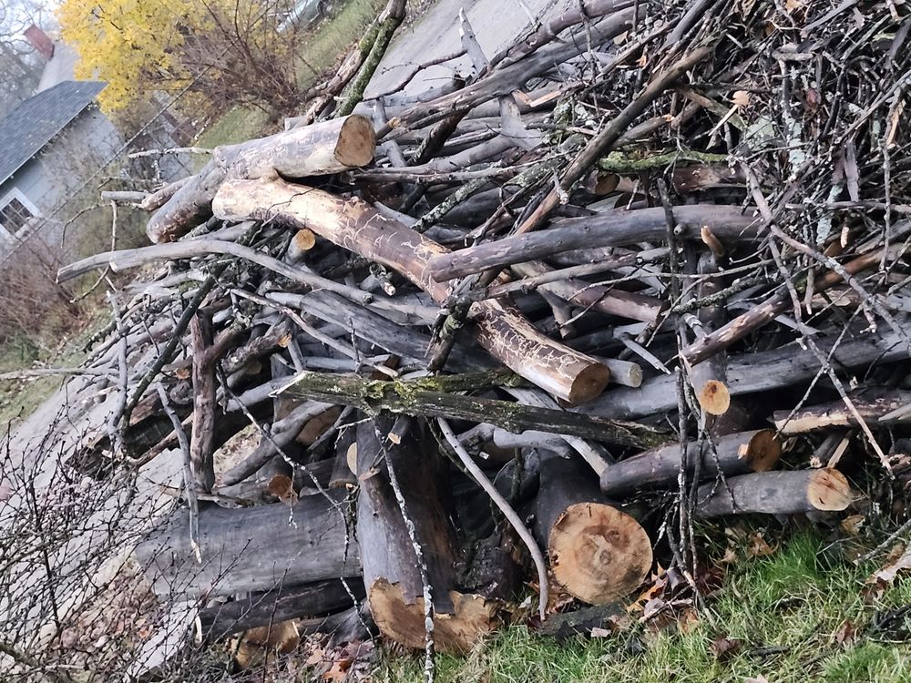 CHOP Tree Service - tree service in Grand Rapids, MI