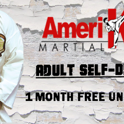 Amerikick - Kempo Karate Staten Island