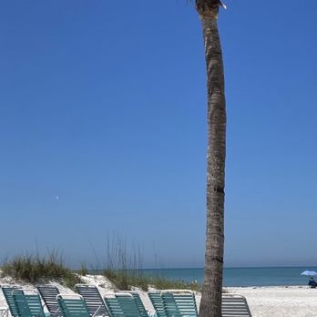 Cedar Cove Resort & Cottages - Blue water and palm trees. My Happy Place - Hotels Near Me - Holmes Beach, Florida