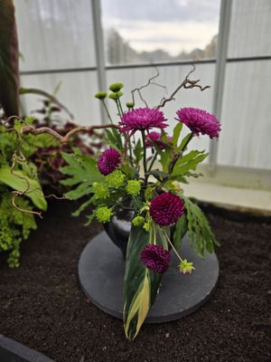 Volunteer Park Conservatory by null