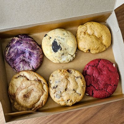 The Night Baker - College by null