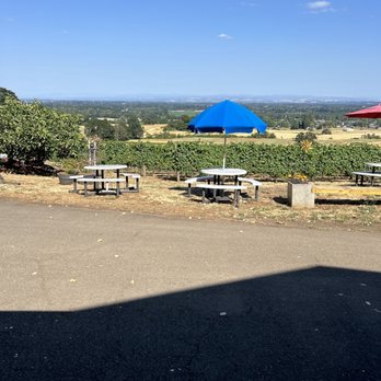Redhawk Vineyard - Great view - Wineries Near Me - Salem, Oregon