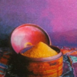 Raj Gourmet - Cover of take-away menu. Nov 2009