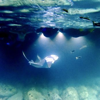 Aquatic Life Divers - Manta snorkel - Scuba Diving Near Me - Kailua-kona, Hawaii Aquatic Life Divers - Manta snorkel - Scuba Diving Near Me - Kailua-kona, Hawaii