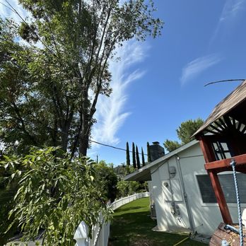 Safeway Tree Service - Tree Services Near Me Safeway Tree Service - Tree Services Near Me