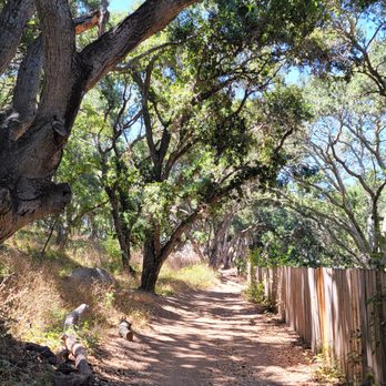 Bishop Peak - Hiking Near Me - San Luis Obispo, California