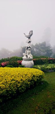 Narukawa Art Museum by null