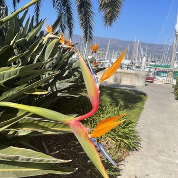 Santa Barbara Harbor - Tours Near Me - Santa Barbara, California Santa Barbara Harbor - Tours Near Me - Santa Barbara, California