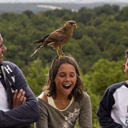 Rocher des Aigles
