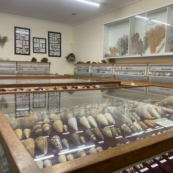 Bunurong Environment Centre & Shop - Bookstores Near Me - Inverloch, VIC