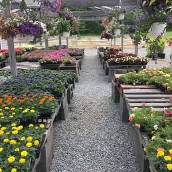 Gambrills Flower Farm - Nurseries & Gardening Near Me - Gambrills, Maryland