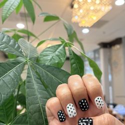 PG Nails & Spa 02 - Polka Dots in Honor of FN