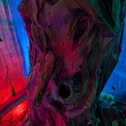 Daydream Adventures - Escape Games Near Me - Toronto, Ontario