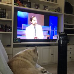 Campus Hill Church Of Seventh-Day Adventists Loma Linda - House/dog sitting Always check in on Sabbath  when I can't make it to church