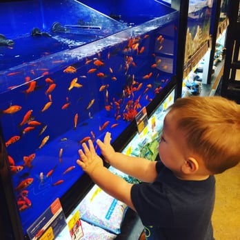 PetSmart - We found Nemo - Pet Groomers Near Me - San Diego, California PetSmart - We found Nemo - Pet Groomers Near Me - San Diego, California