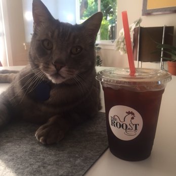 The Roost - Higgs Approved! - Coffee & Tea Near Me - Reno, Nevada The Roost - Higgs Approved! - Coffee & Tea Near Me - Reno, Nevada