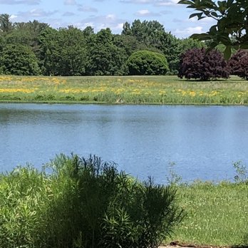 Bernheim Forest and Arboretum - View of lake from the pavilion - Parks Near Me - Clermont, Kentucky
