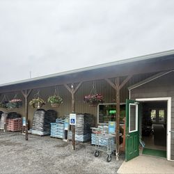 Northern Flow Vineyard