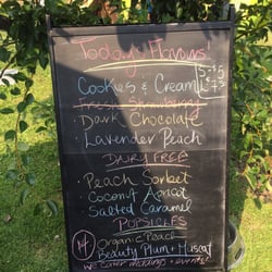 Gorgeous Georgia's Homemade Ice Cream - Today's flavours!