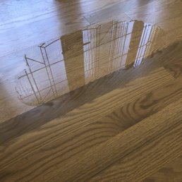 One of the 3 puddles I found in my front entryway next to my glass front door.