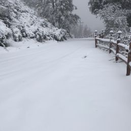 Looking down the driveway Looking down the driveway