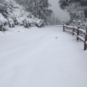 Tucker Peak Lodge - Looking down the driveway - Hotels Near Me - Julian, California Tucker Peak Lodge - Looking down the driveway - Hotels Near Me - Julian, California