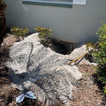 CS Waterworks - Between leak detectors and Burt getting to my leak. - Plumbing Near Me CS Waterworks - Between leak detectors and Burt getting to my leak. - Plumbing Near Me